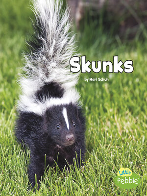 cover image of Skunks